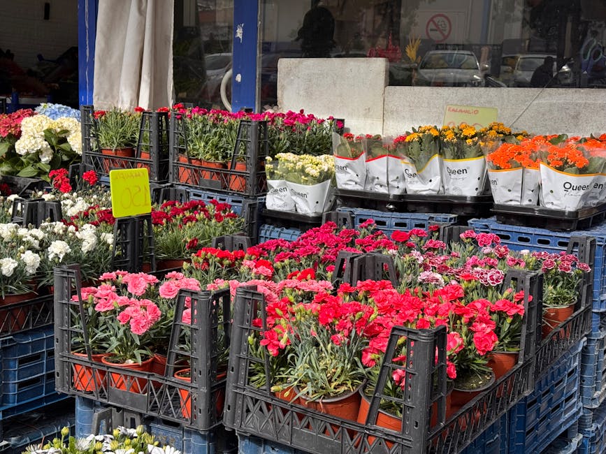 A display of vibrant, freshly potted carnations arranged in black plastic crates outside a flower shop, featuring pink, red, white, yellow, and orange blooms with lush green foliage. The flowers are w