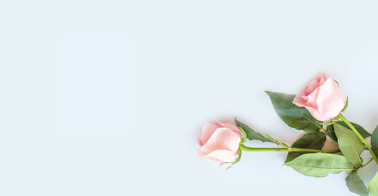 Sympathy Flowers Dagenham